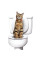 Набір для привчання кішок до унітаза CitiKitty Cat Toilet Training Kit