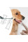 Набір для грумінгу тварин Pet Grooming 8 в 1, комплект для догляду за собаками та котами з щітками, кігтерізом та гребінцями